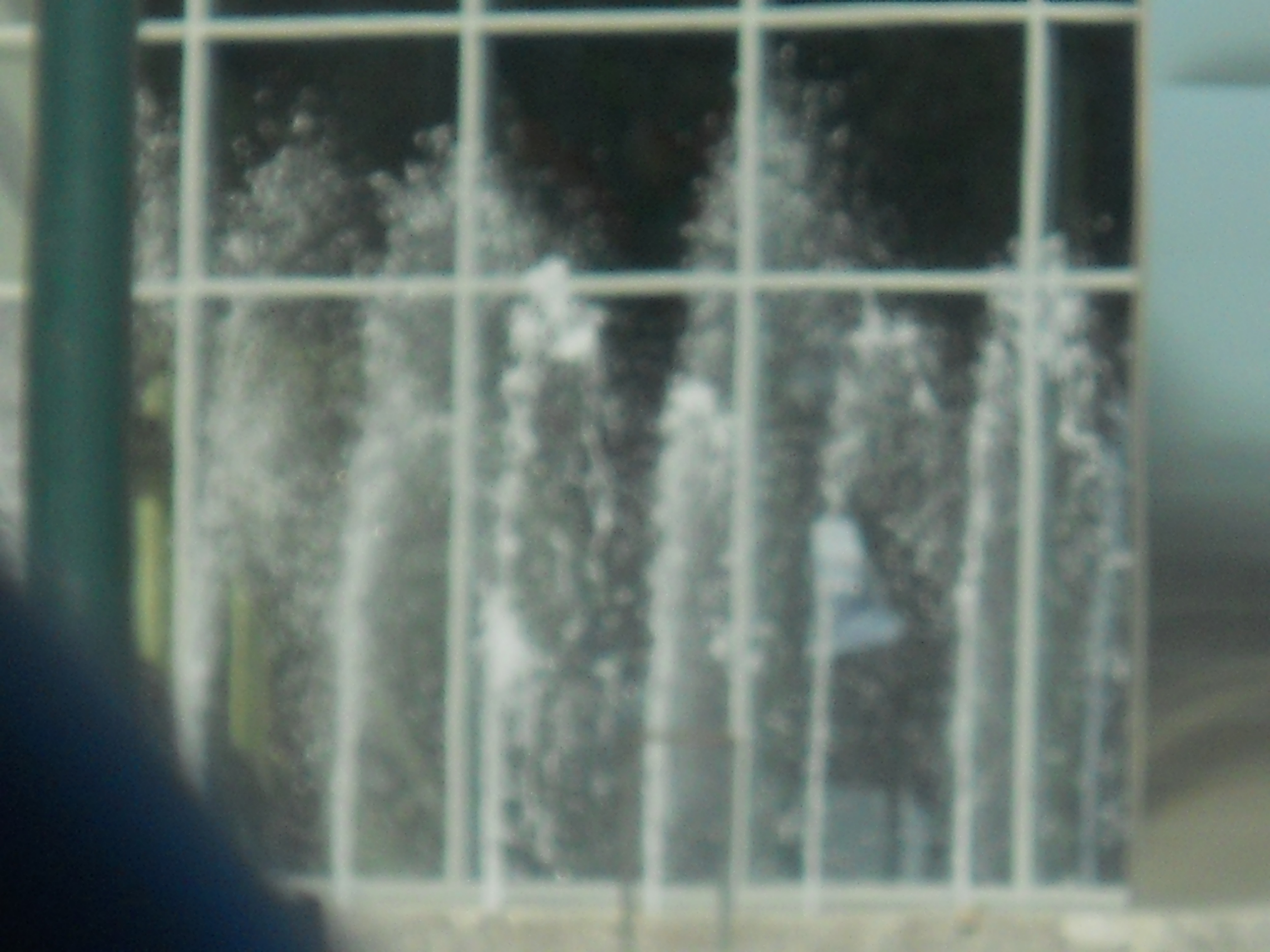 dscn0076.jpg